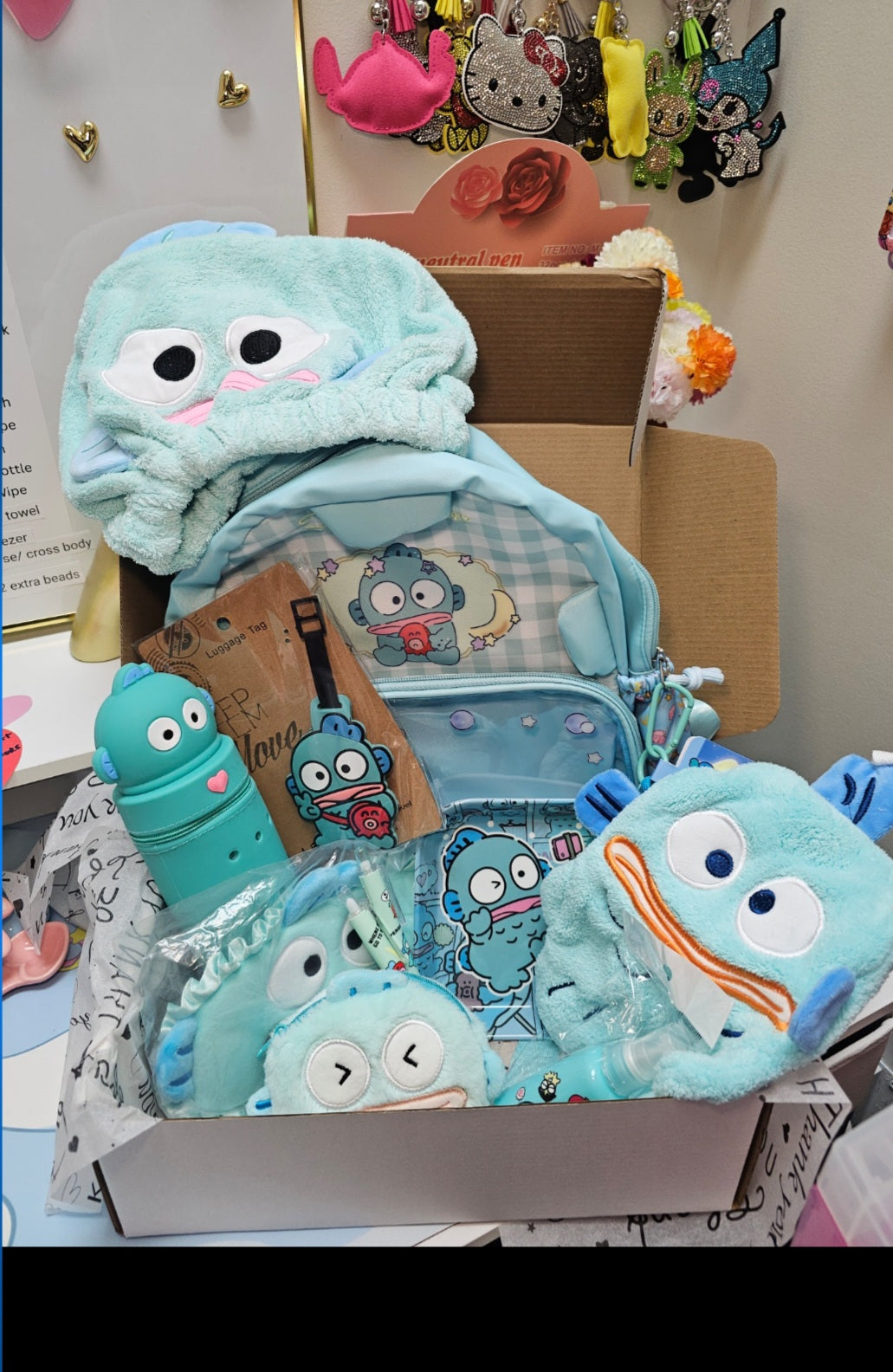 Sanrio Box (Regular Scoop)